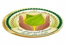 قرارات الاستثمار