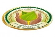 قرارات الاستثمار 
